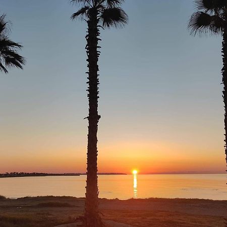 Palm Garden Paradise Periwolia Zewnętrze zdjęcie
