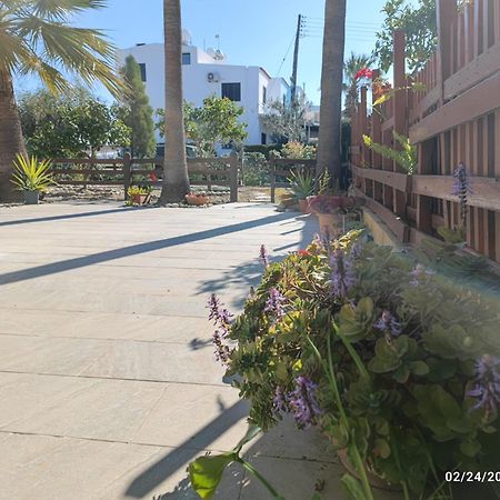 Palm Garden Paradise Periwolia Zewnętrze zdjęcie
