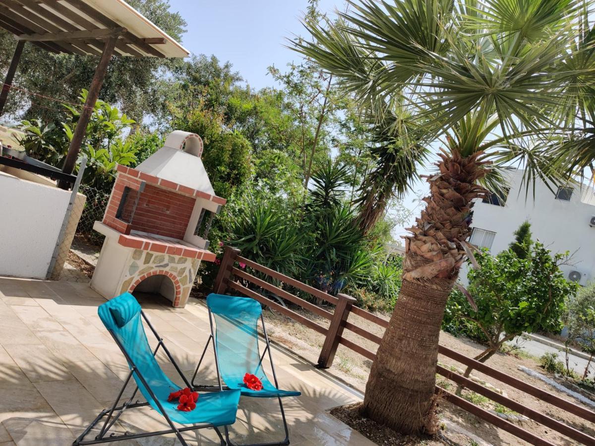 Palm Garden Paradise Periwolia Zewnętrze zdjęcie