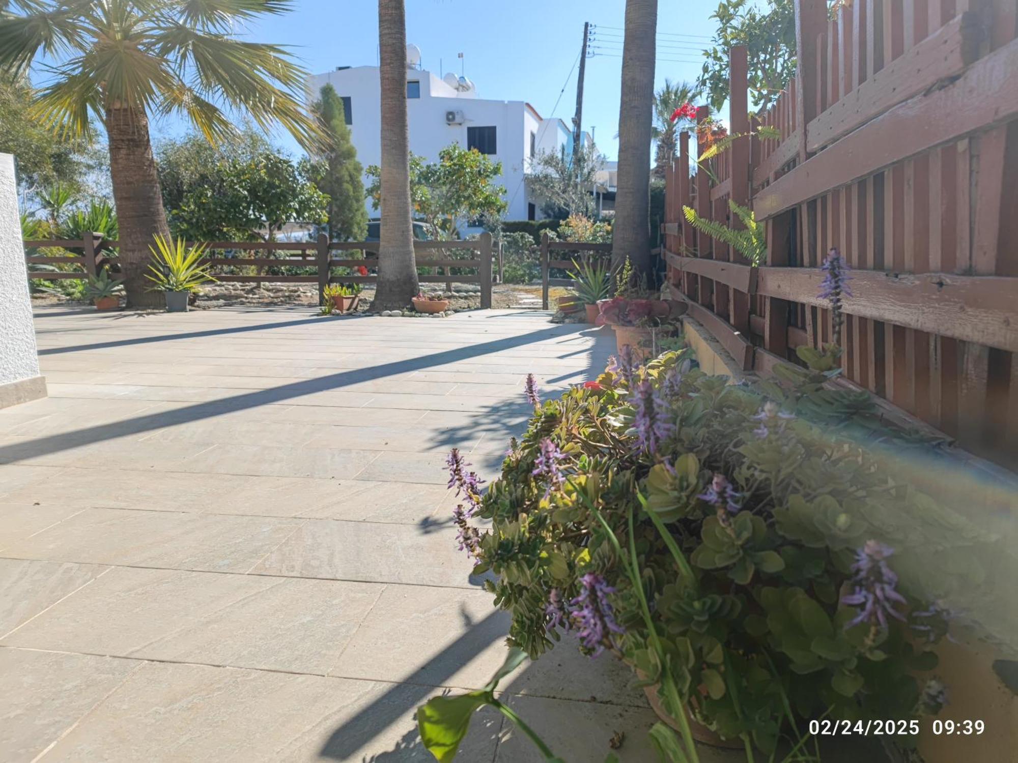 Palm Garden Paradise Periwolia Zewnętrze zdjęcie